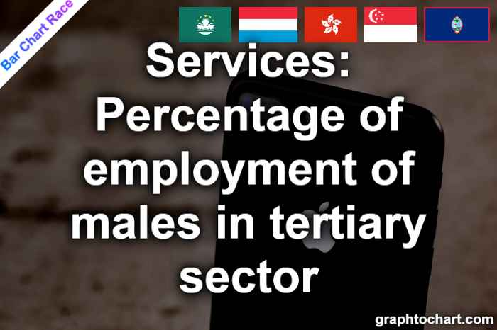 Bar Chart Race of "Services: Percentage of employment of males in tertiary sector"