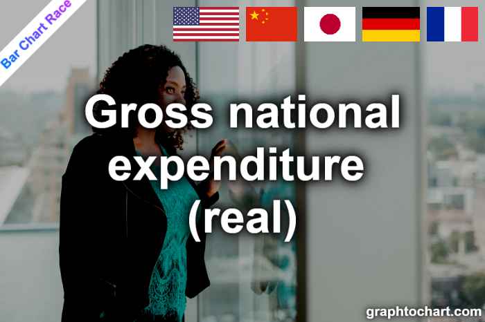 Bar Chart Race of "Gross national expenditure (real)"