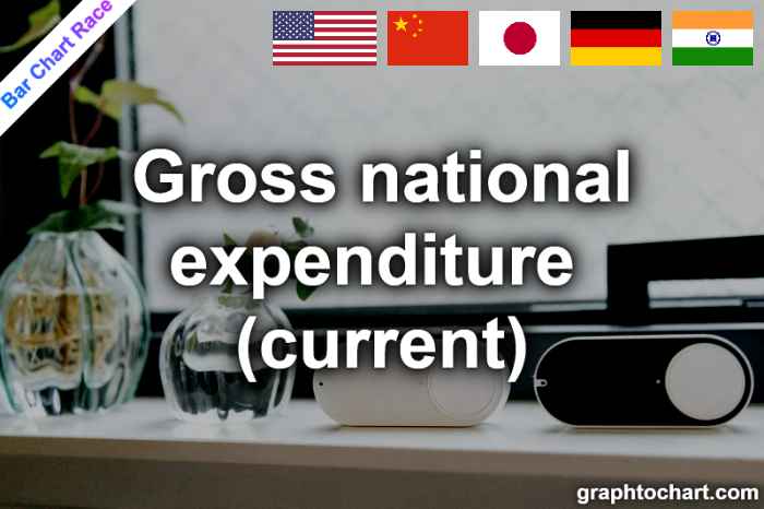 Bar Chart Race of "Gross national expenditure (current)"